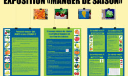 Bandeau-expo-manger-de-saison-2019v2