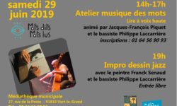 motsditsmotslus-2019-affiche