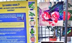 expo-manger-de-saison-juin 2019-2b_n