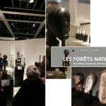 Vie de l’assos : « Les Forêts natales » Musée Quai Branly