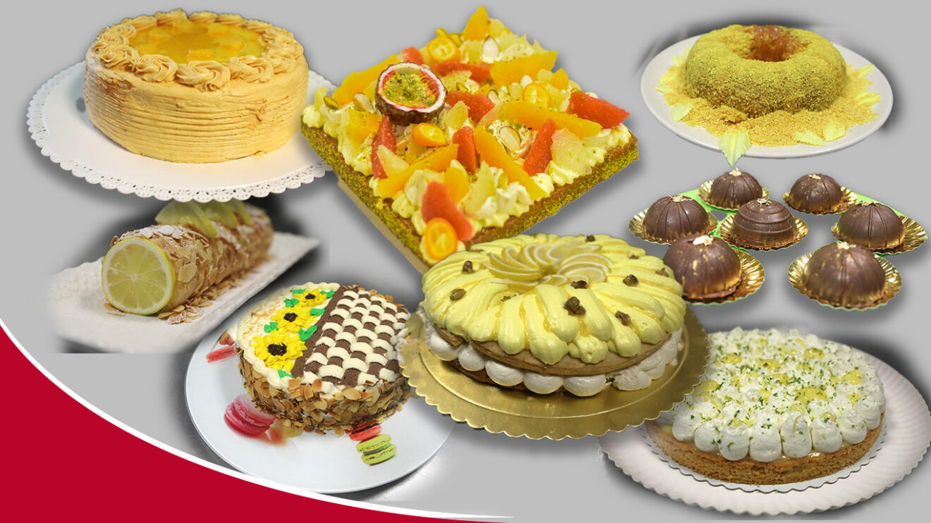 VIE DE L'ASSO : REPORTAGE PHOTOS sur le GATEAU D'EVRY -12e Festival V&amp;T 2024