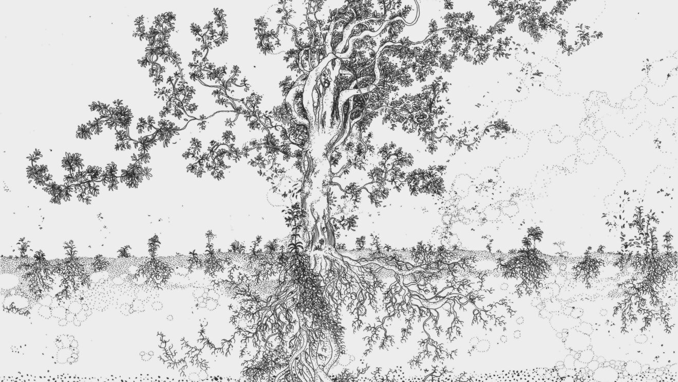 EXPO-RENCONTRE ”Nature et paysages” de  Léa RAVEL, mercredi 2 avril 2025 au 28 avril 2025, vernissage le 10/4