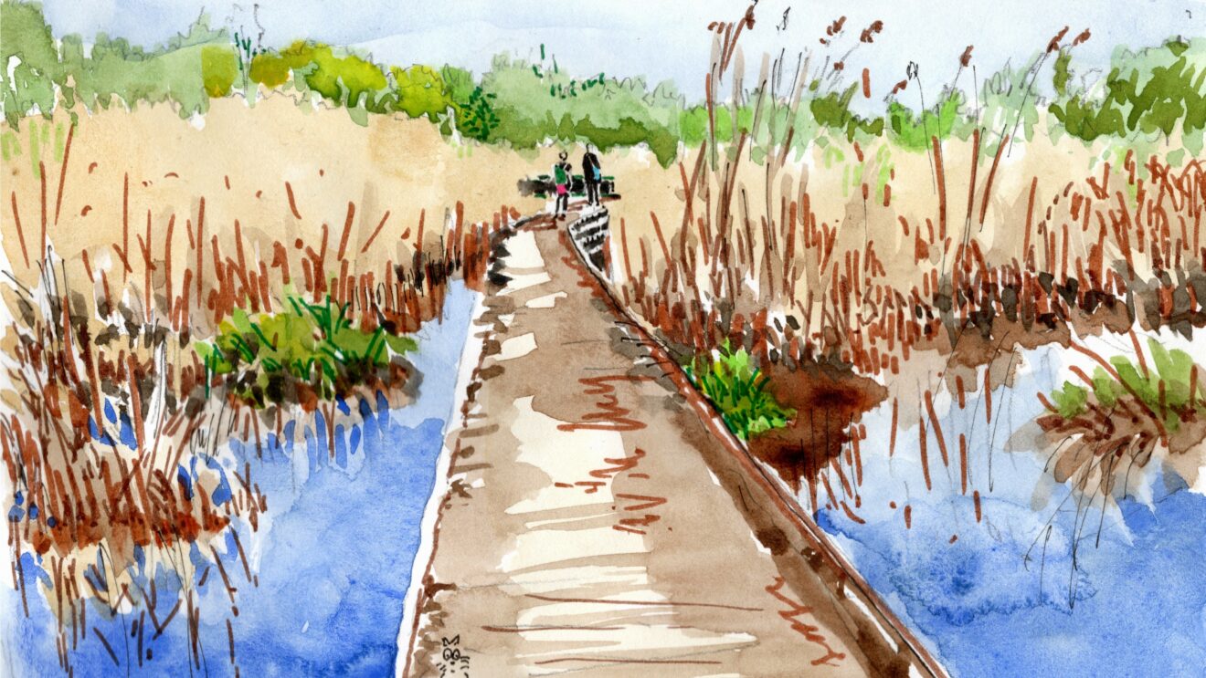 VERNISSAGE-EXPOSITION “L’esprit du lieu : un an à Lieusaint”, résidence de Franck SENAUD, Samedi 20 septembre 2025