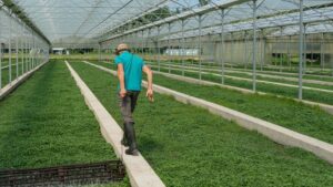 SORTIE CROQUIS URBAN SKETCHERS “Cressonnière”, Samedi 21 mars 2026