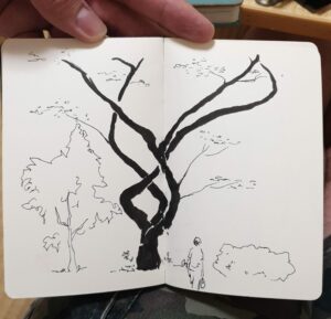 Paris-jardin-Draveil-Croquis USK Essonne-20260516-FSenaud-20260516-WA0006