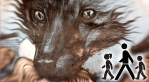  BALADE DÉCOUVERTE DU STREET ART, Mercredi 10 juin 2026