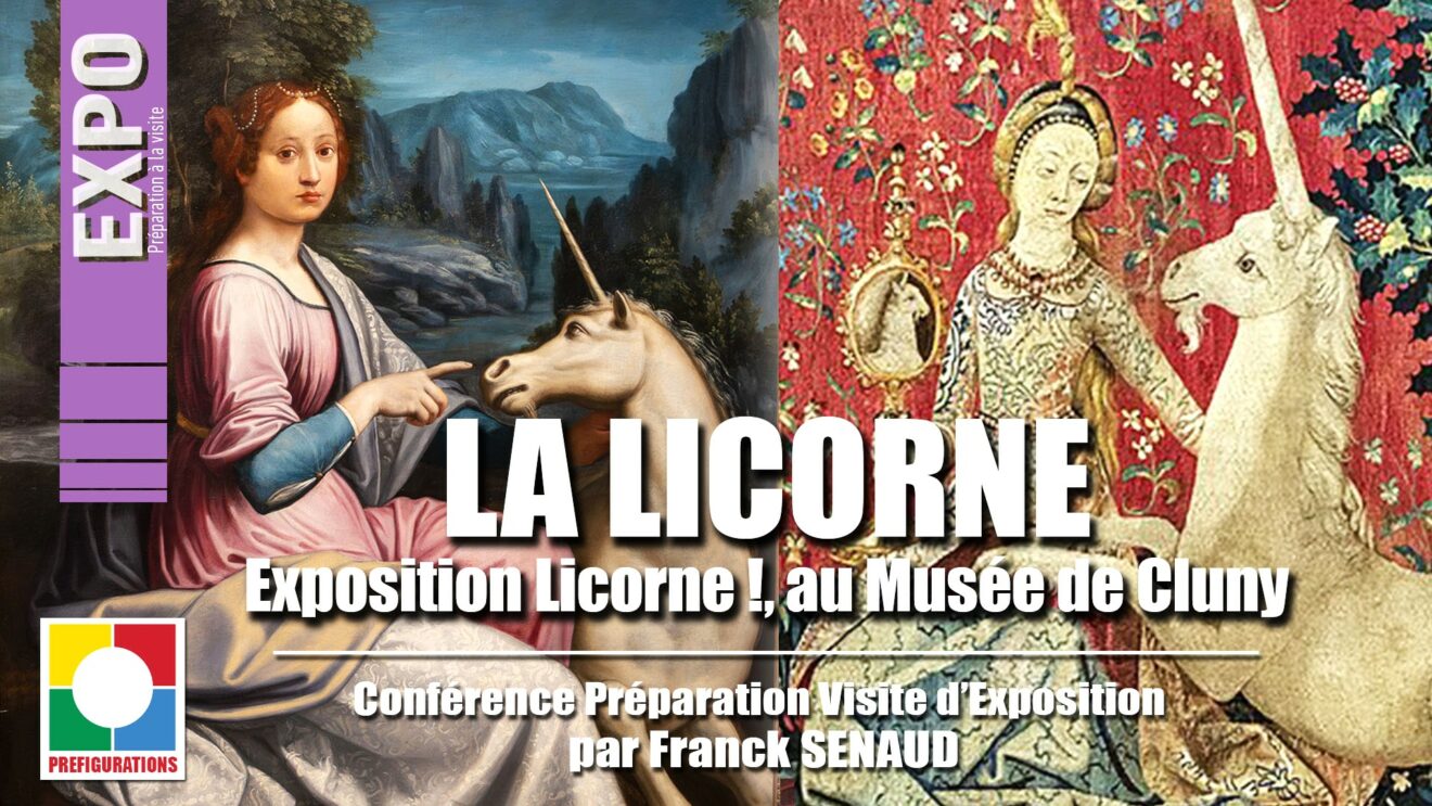 NOS VIDÉOS : ＂La licorne＂