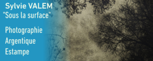 EXPOSITION “SOUS LA SURFACE” DE SYLVIE VALEM,  du 14 octobre au 13 novembre 2026