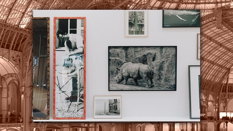 Lire la suite à propos de l’article CONFÉRENCE PRÉPARATION visite d&rsquo; EXPO “PARIS PHOTO », Vendredi 13 novembre 2026